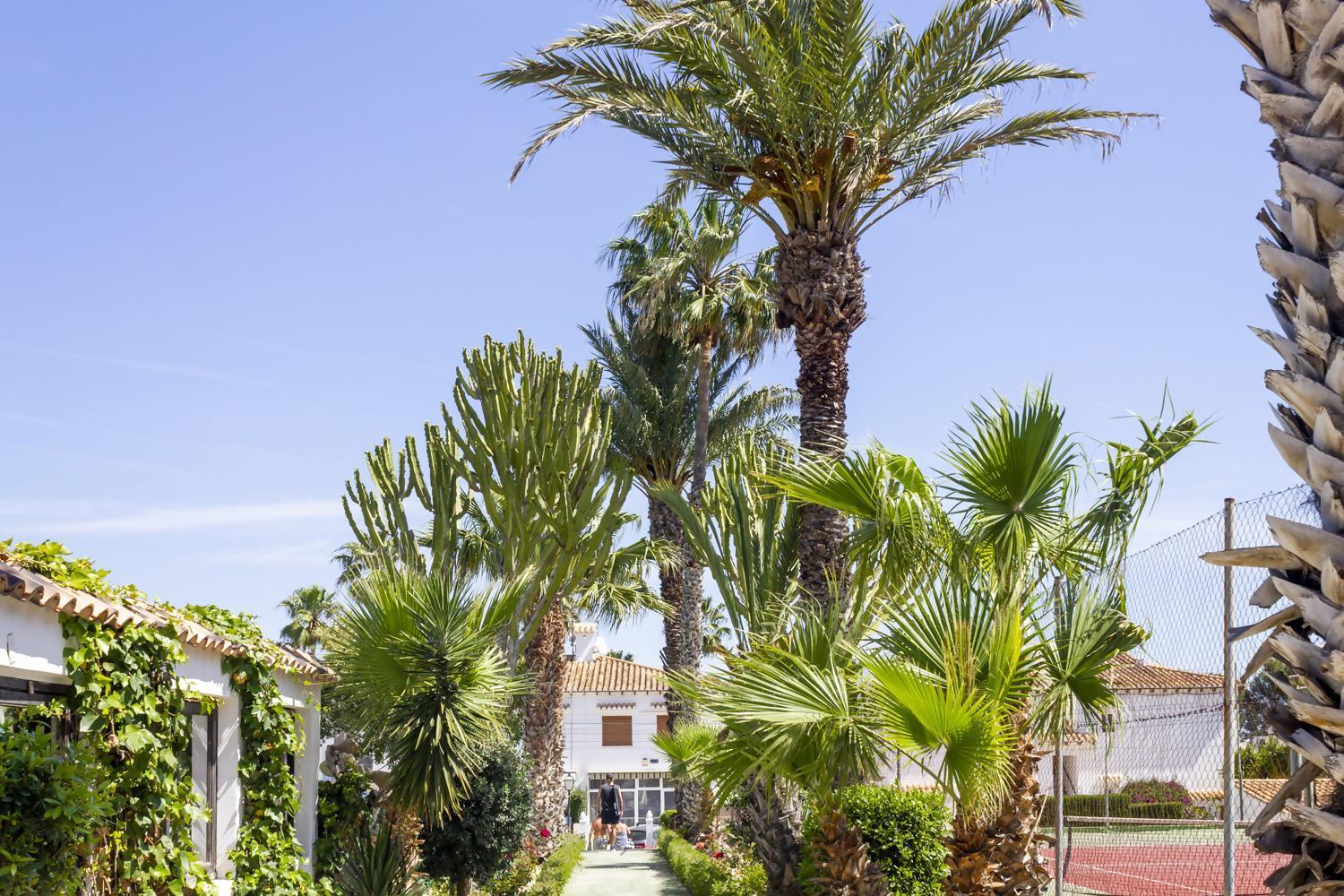 Bungalow Pink Palm Beach Torrevieja Exterior photo